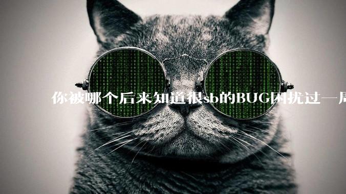 你被哪个后来知道很sb的BUG困扰过一周以上吗？